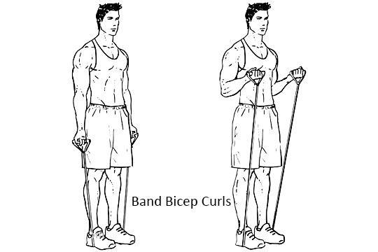 Band Bicep Curls