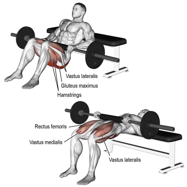 Barbell Hip thrust