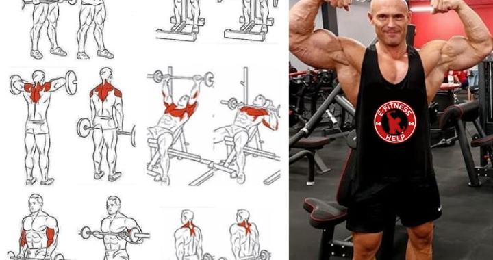 Best Bodybuilding Program