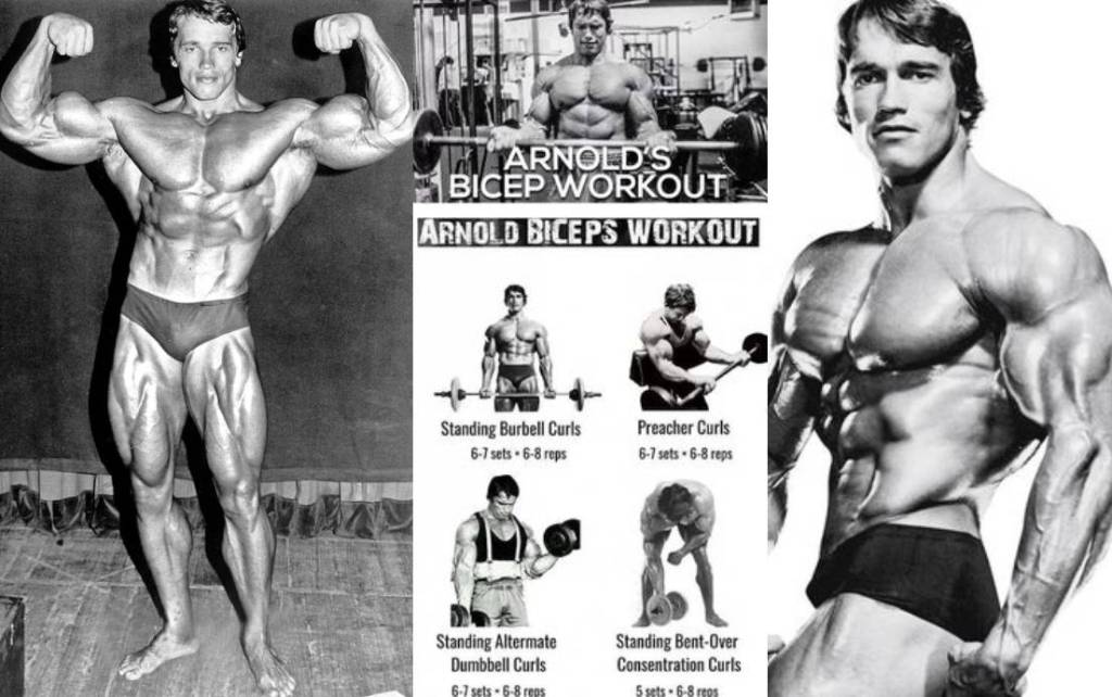 bicep workout