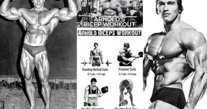 bicep workout