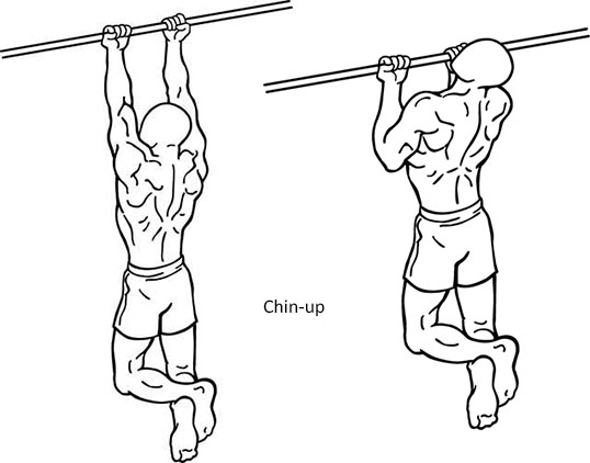 chin-up