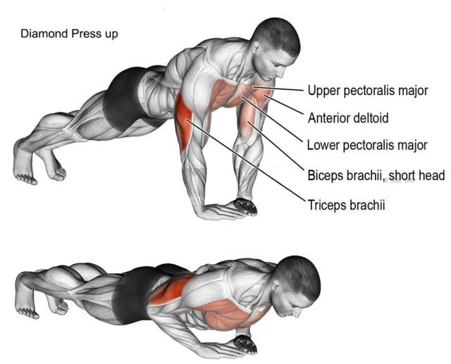 Diamond Press up