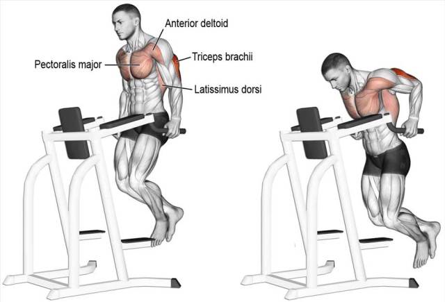 Dips