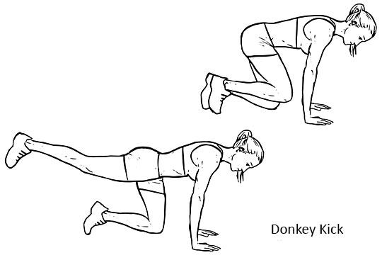 Donkey Kick