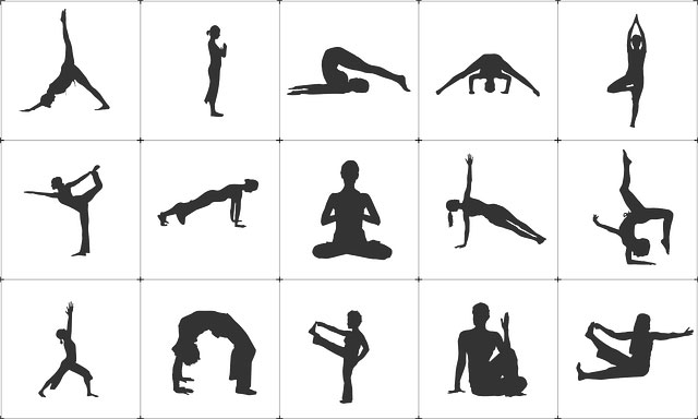 flexibility exercises