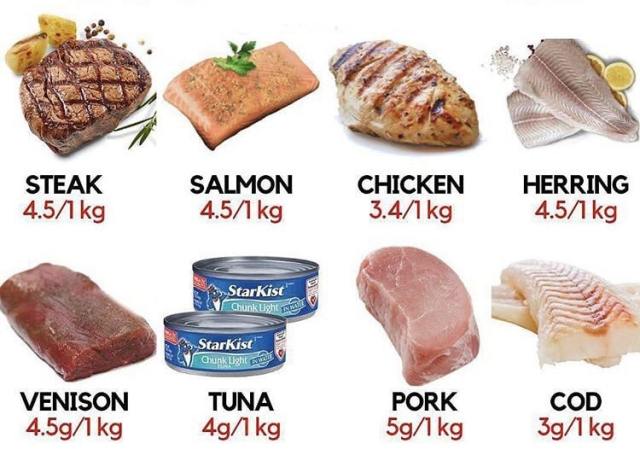 foods containing creatine