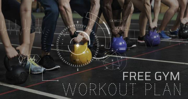 Free Gym Workout Plan