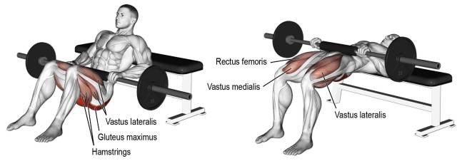 Hip Thrusters