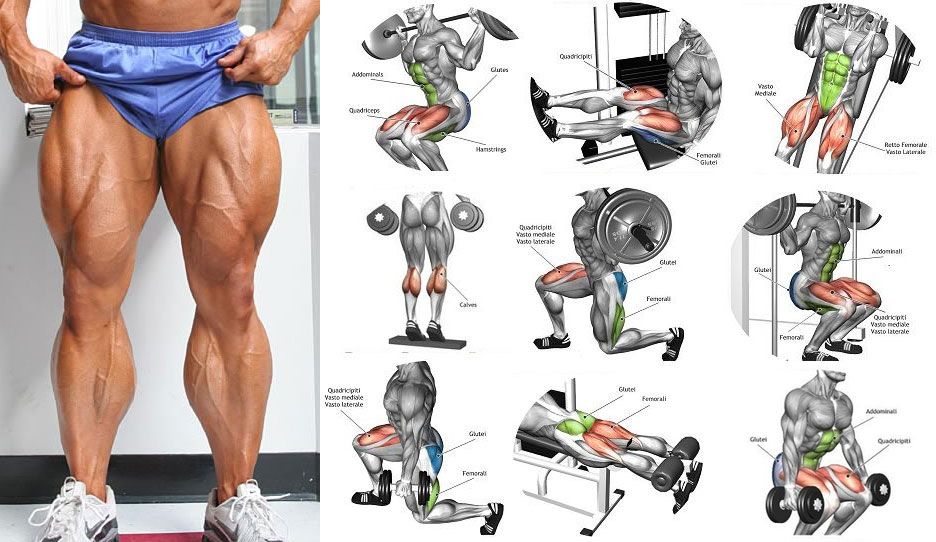 Leg Workouts