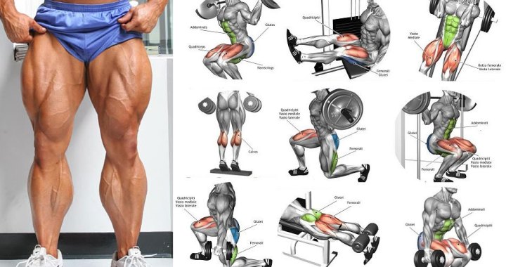 Leg Workouts