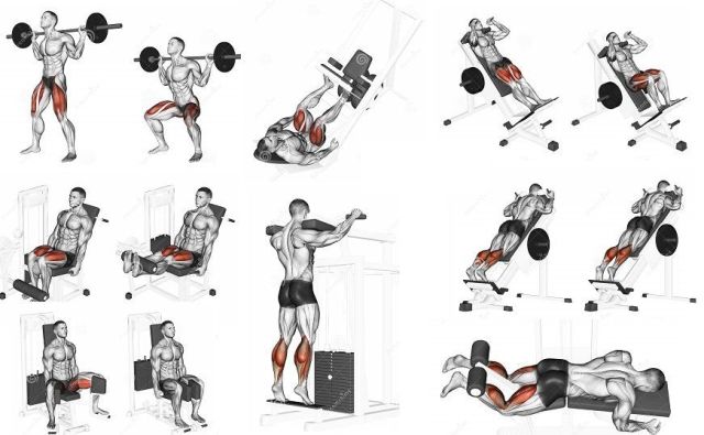 leg workouts plan