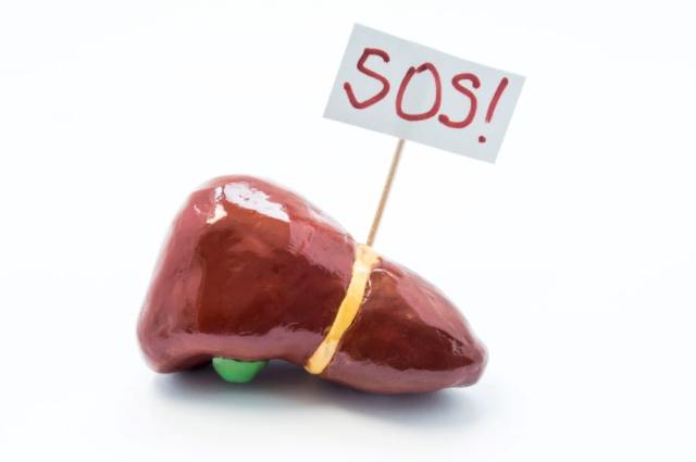 Liver Function Enhancement