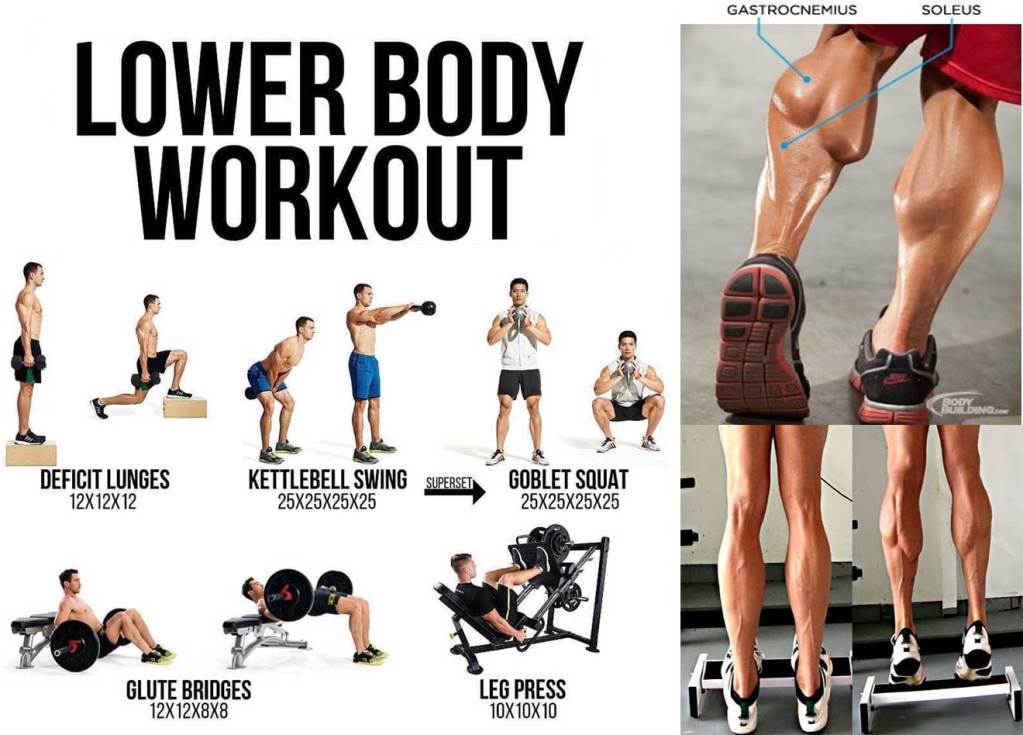 lower body workout