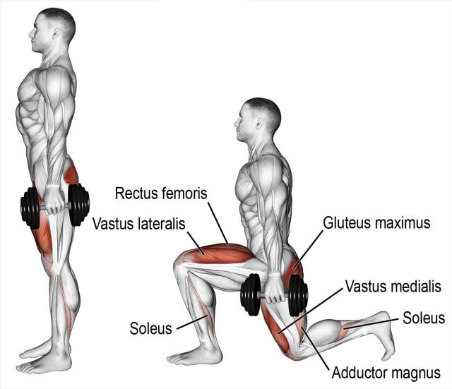 lunges