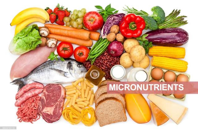 MICRONUTRIENTS MICRONUTRIENTS