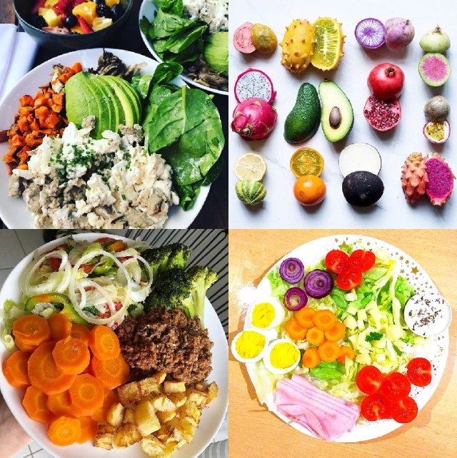 plant food