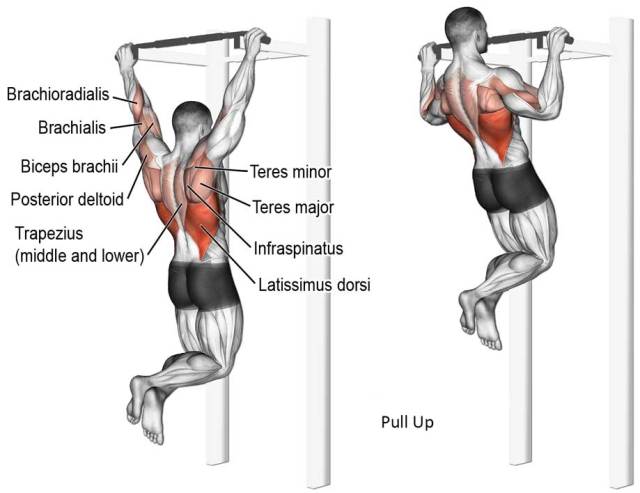 Pull-Up