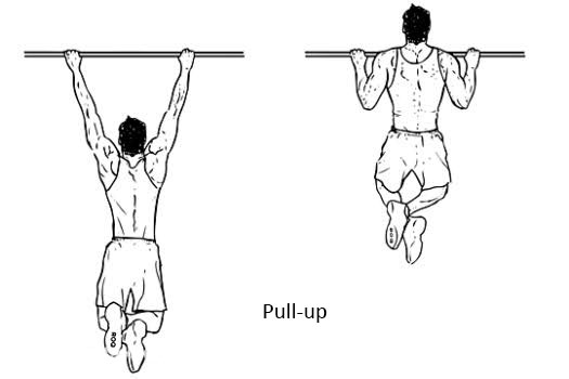Pull ups