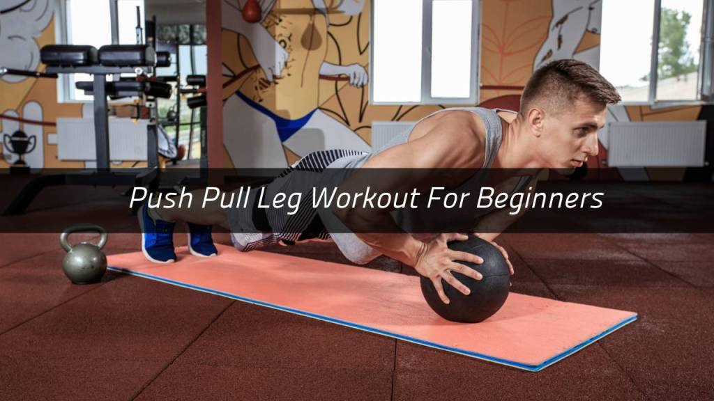 Push Pull Leg Workout