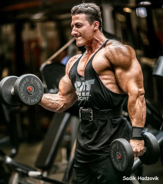 Sadik Hadzovik Sadik Hadzovik