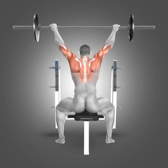 SHOULDER PRESS