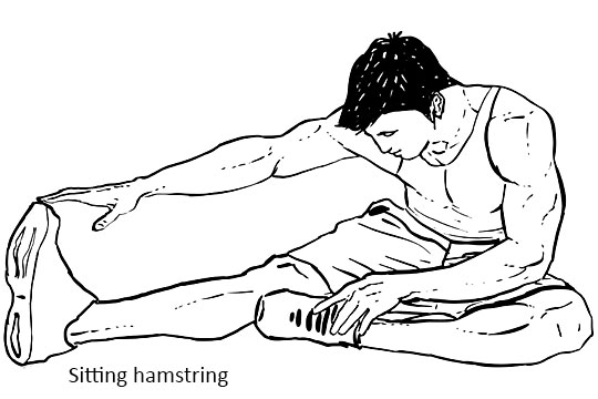 Sitting hamstring