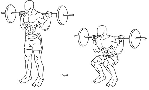 Squat