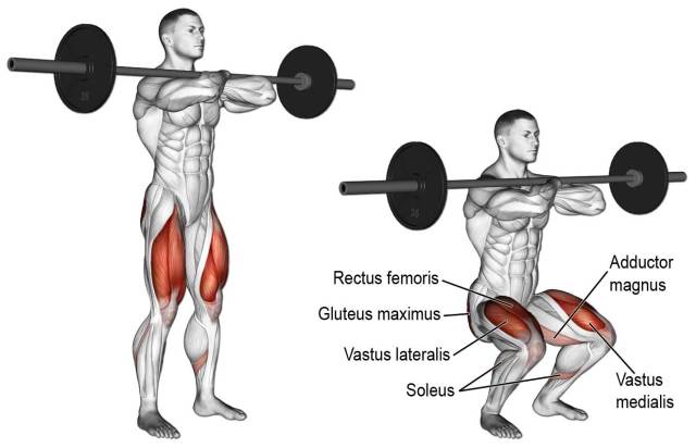 squats
