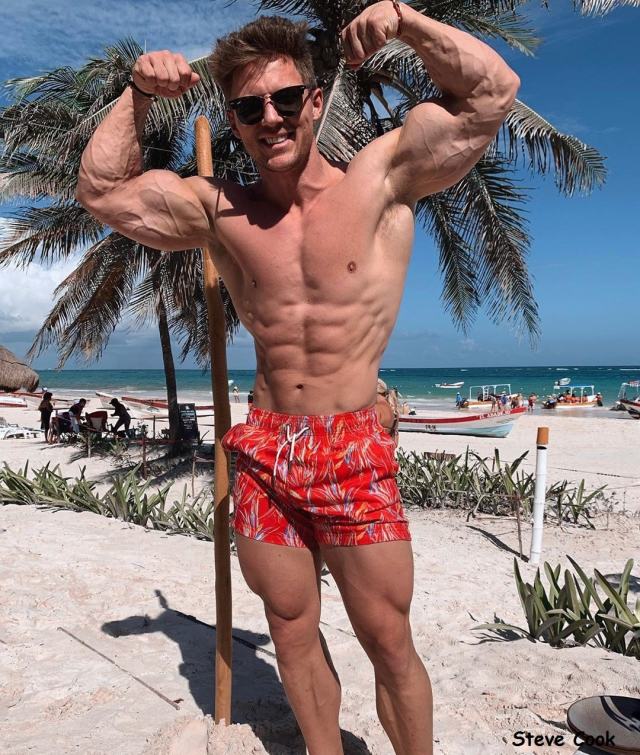 Steve Cook Steve Cook